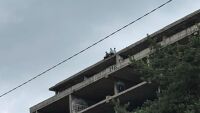 С риск за живота: Три деца се качиха на покрива на изоставената детска болница в София