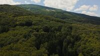 „Природният парк се разпада“: Държавата започва план за спасяване на Витоша