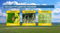 Алергичните към полени на липата скоро ще си отдъхнат 