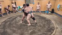 В bTV Репортерите очаквайте: Пътят на гигантите - българската следа в сумото