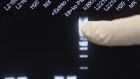 Саздърма с 5% конско месо се продавала в България