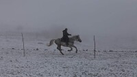 Кон рани жена на кушиите в пернишкото село Дивотино