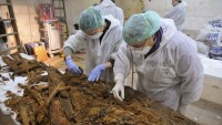 Открити са останките на Мигел де Сервантес