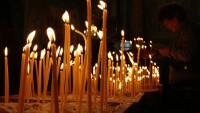 Черешова задушница e