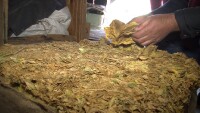 Стотици тютюнопроизводители на протест, стоката им залежава