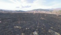 Потушен е пожарът в местността „Камбаните” в София