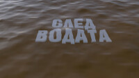 bTV Репортерите: След водата