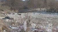 Доброволци почистват Места от боклуците, задръстили коритото на реката
