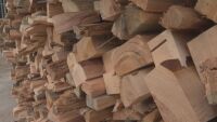 Цената на дървесината: Как ще се отрази на строителството?