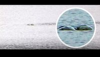 Пет години по-късно: Фотограф разкри снимки на чудовището от Лох Нес