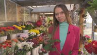 bTV проверява: Колко струват цветята за 8 март? 