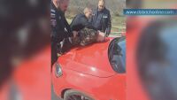 Двама мъже са задържани на АМ „Хемус“ след гонка с пътни полицаи (СНИМКИ и ВИДЕО)