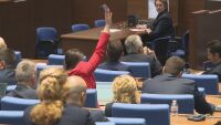 Европейският парламент отне имунитета на германски депутат заради изображение на нацистки поздрав