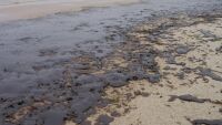 МОСВ: Плажът край Варна е почистен от нефтопродукти