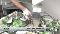 Марихуаната като запазена марка