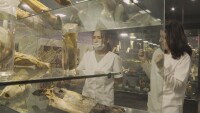 История за доброто: „Операция плюшено мече“, която дава шанс на млади хора