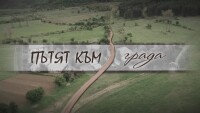 bTV Репортерите: Пътят към града