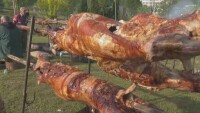 Фестивал на чевермето в Златоград