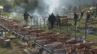 Празник на чевермето в Златоград: Свирят 110 гайди и се въртят 150 чевермета 