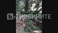 Мълния падна в двора на Софийската митрополия (ВИДЕО)