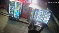 Кога децата извършват престъпление: Убийството на Магдалена - ниска самооценка, натрупани емоции или афект?