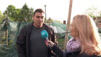 „Тази година все едно ни е нулева, нямаме застраховка“: Потърпевши от градушката показват щетите 