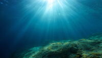 Учени откриха живот при 400°C на дъното на Карибско море