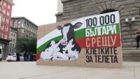 Хора в клетки протестират пред парламента