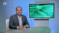 Спорт - Късна емисия - 29.11.2012 г.