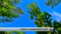 Проект „Запазване и възстановяване на дъбовите хабитати по Черноморието