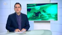 Спорт - Обедна емисия - 09.11.2014 г.