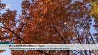 Измислиха как да печелят от събиране на шума в София
