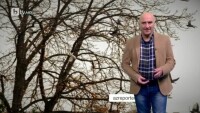 Времето - Обедна емисия – 22.11.2017