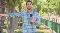 Репортер в Чили стана жертва на папагал крадец (ВИДЕО)