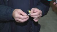 Рекордна контрабанда на пликчета с тютюн за смучене