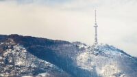 Издирват изчезнал турист край Драгалевския манастир