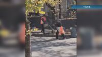 Бой с метли и тенекии за боклук във Велико Търново (ВИДЕО)