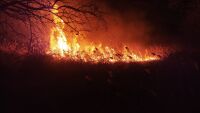 Голям пожар лумна на изхода на Пловдив (СНИМКИ)
