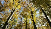 Открита е издирваната във Витоша жена, била е премръзнала