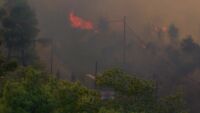 След пепелта: Уроците на Гърция за свят, който гори все по-често