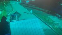 Това е видеото, което показва изчезналата Стефани край хижа 