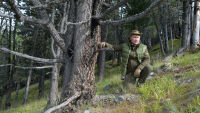 Владимир Путин на 67 години