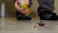 Мъж случайно взриви задния си двор, докато изтребваше хлебарки в Бразилия (ВИДЕО)