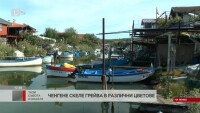 Ченгене скеле грейва в различни цветове