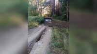 Булдозери на Витоша: Какво прави тежката техника в планината?