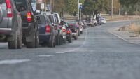 Събирачи на трюфели на протест - държавата иска да обложи дейността с данък