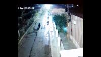 Мече се разходи сред жителите на село Дрен (ВИДЕО)