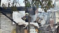 Пламнаха оранжерии в Благоевград