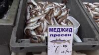 По-слаб риболов и по-малко риба: Отразява ли се на цената?