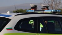 Намериха 3 тона животински продукти без документи в автобус и бус, влизащи от Турция